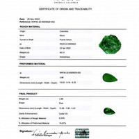 2.90 Ct. Emerald from Colombia - Muzo Pdf